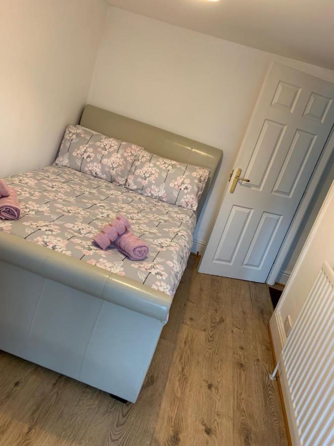 Cosy Cottage In Picturesque Snowdonia With Stunning Views Of The Moelwyn Mountains 布莱奈费斯蒂尼奥格 外观 照片